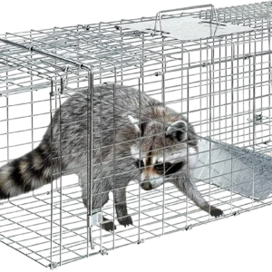 Jaula de trampa para animales, jaula plegable de 32 pulgadas con 1 puerta de hierro, trampa humana para roedores para mapaches, gatos, marmotas, zorrillas, ardillas, gatos callejeros,