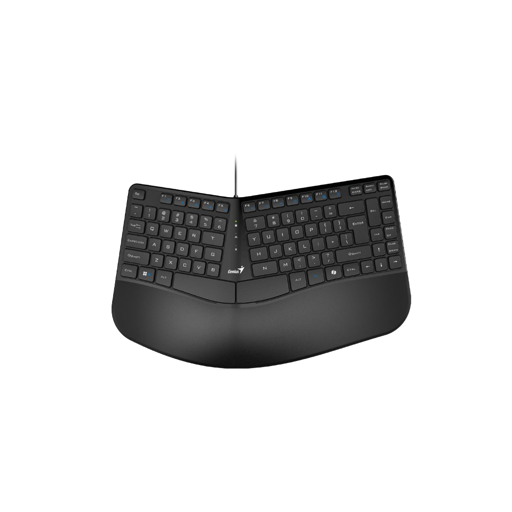TECLADO GENIUS SCORPION K-220 USB NEGRO